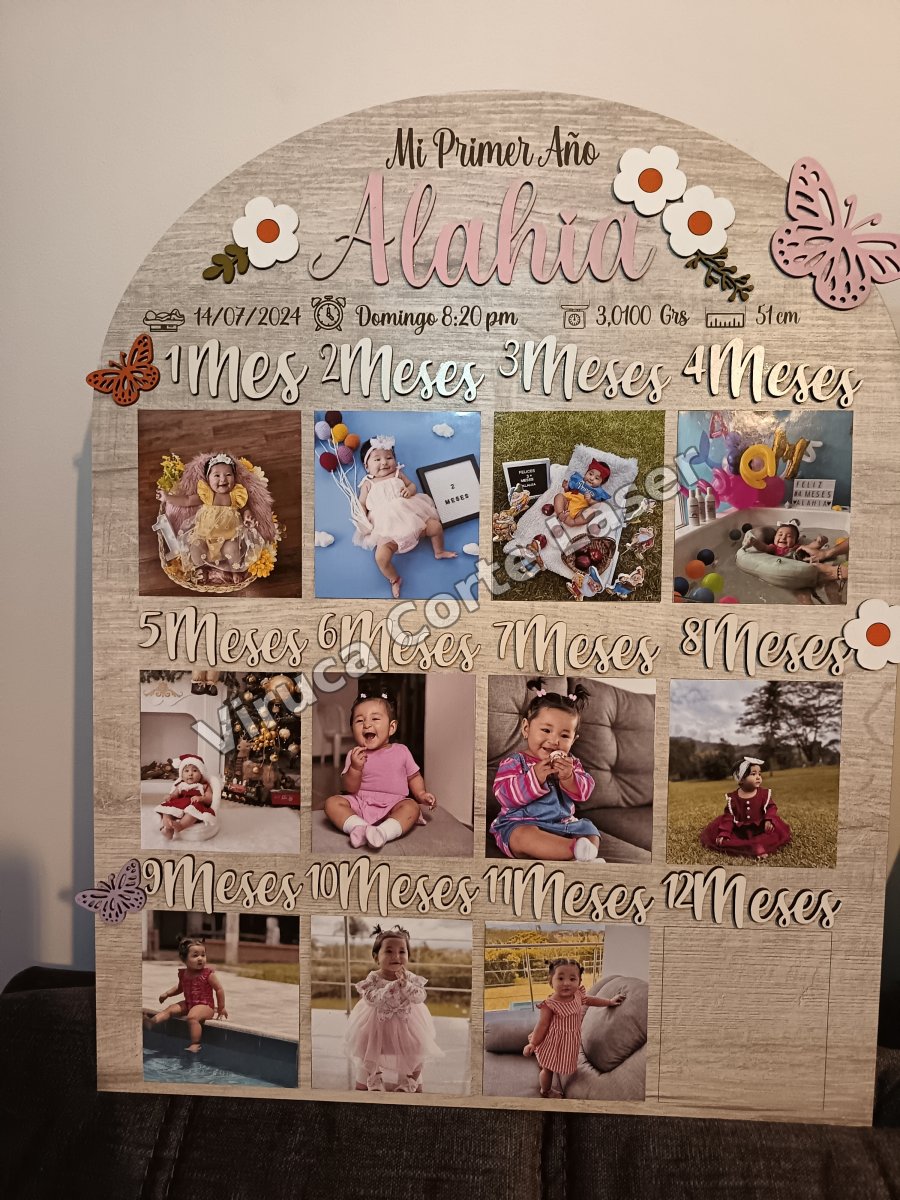 Mi Primer Año 004