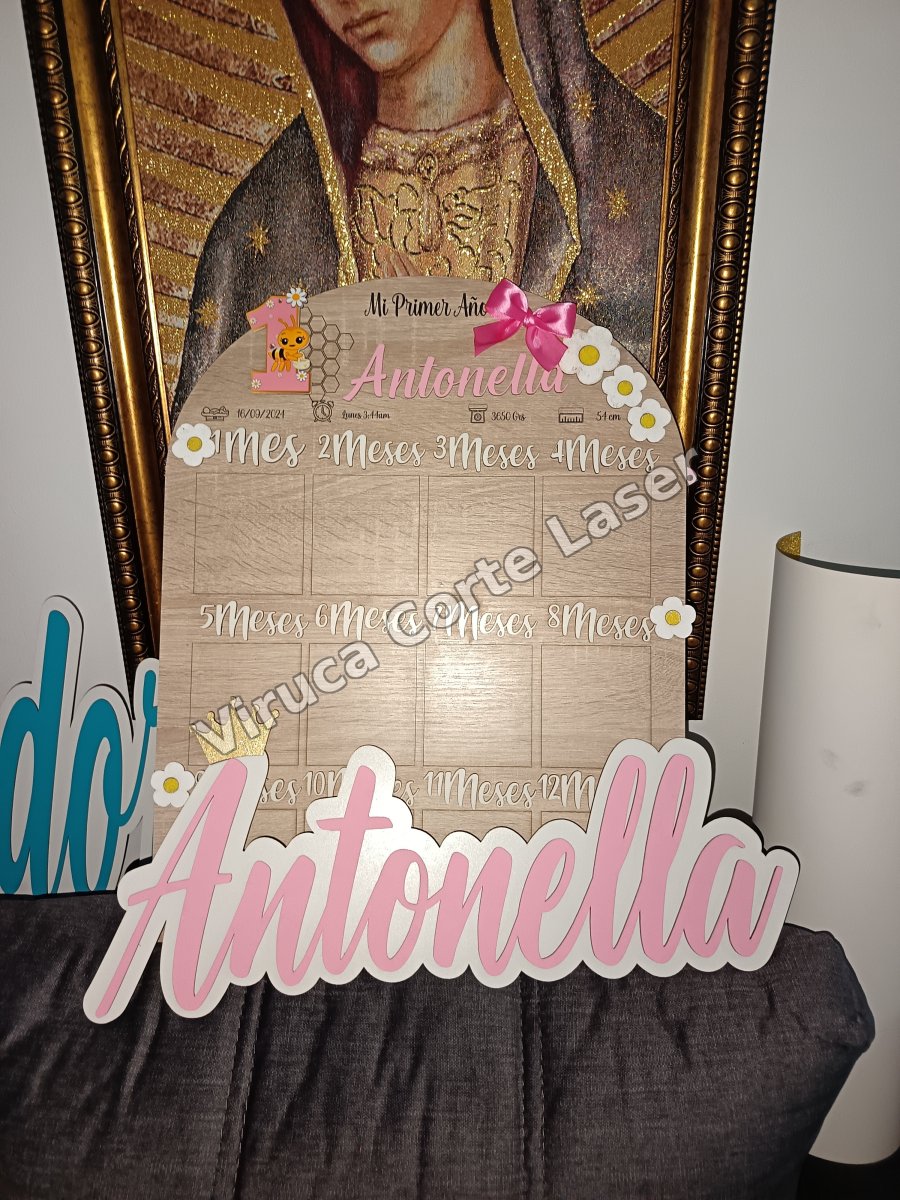 Mi Primer Año 005
