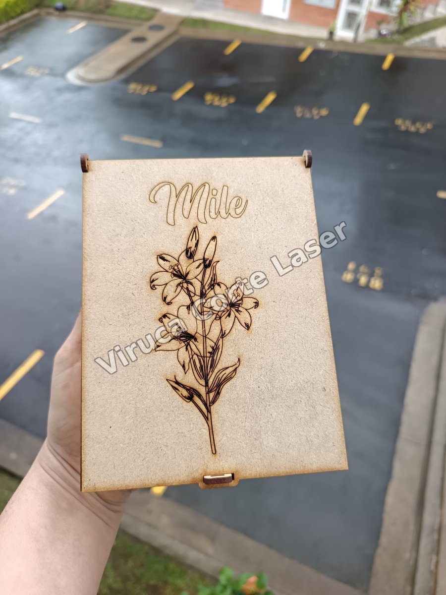 Cajas 007